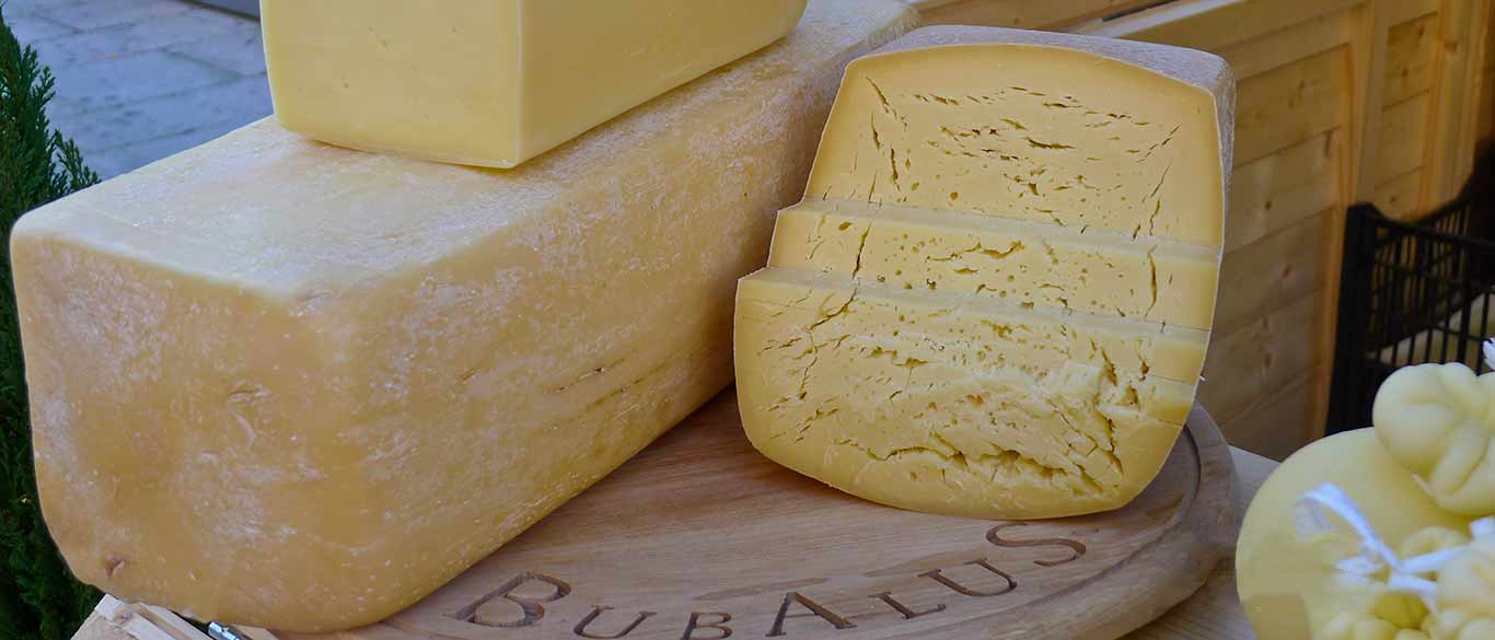 Sicily Cheese