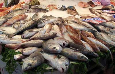 Pescheria - Mare Monti - Fish Shop